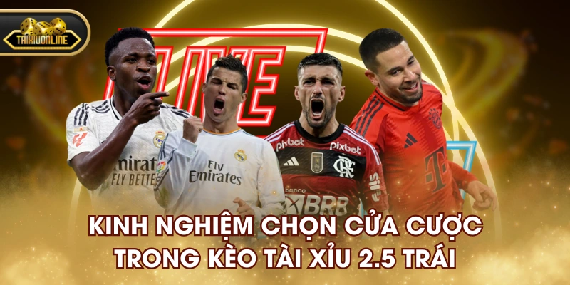 Kinh nghiệm chọn cửa cược trong kèo tài xỉu 2.5 trái